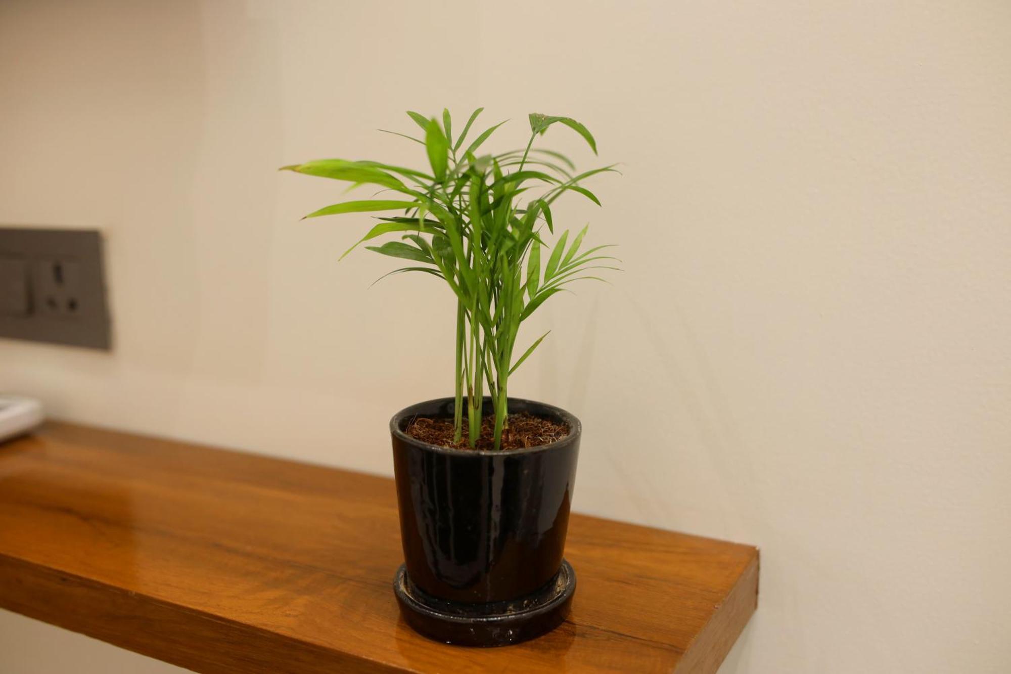 מטורה Narayana Homes מראה חיצוני תמונה